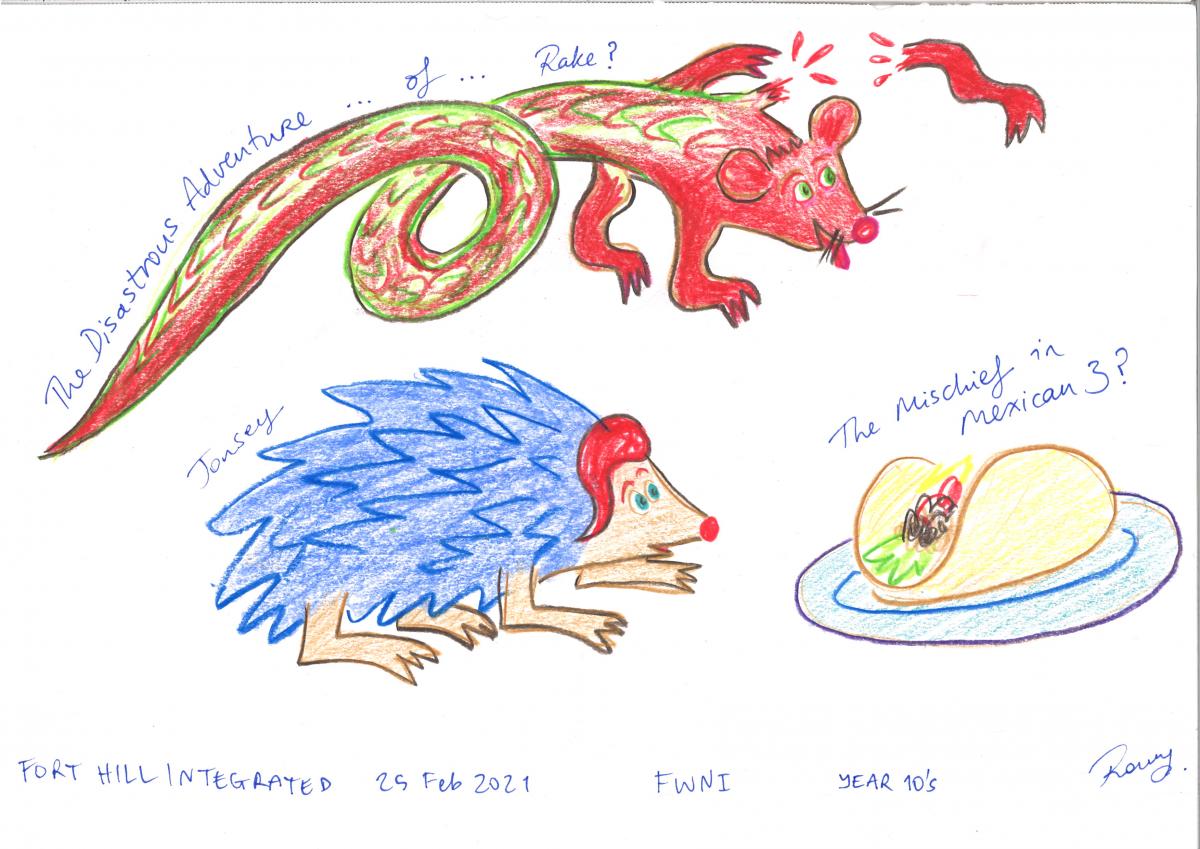 An illustration for The Disastrous Adventure of Rake written by Fort Hill Integrated College, year 10